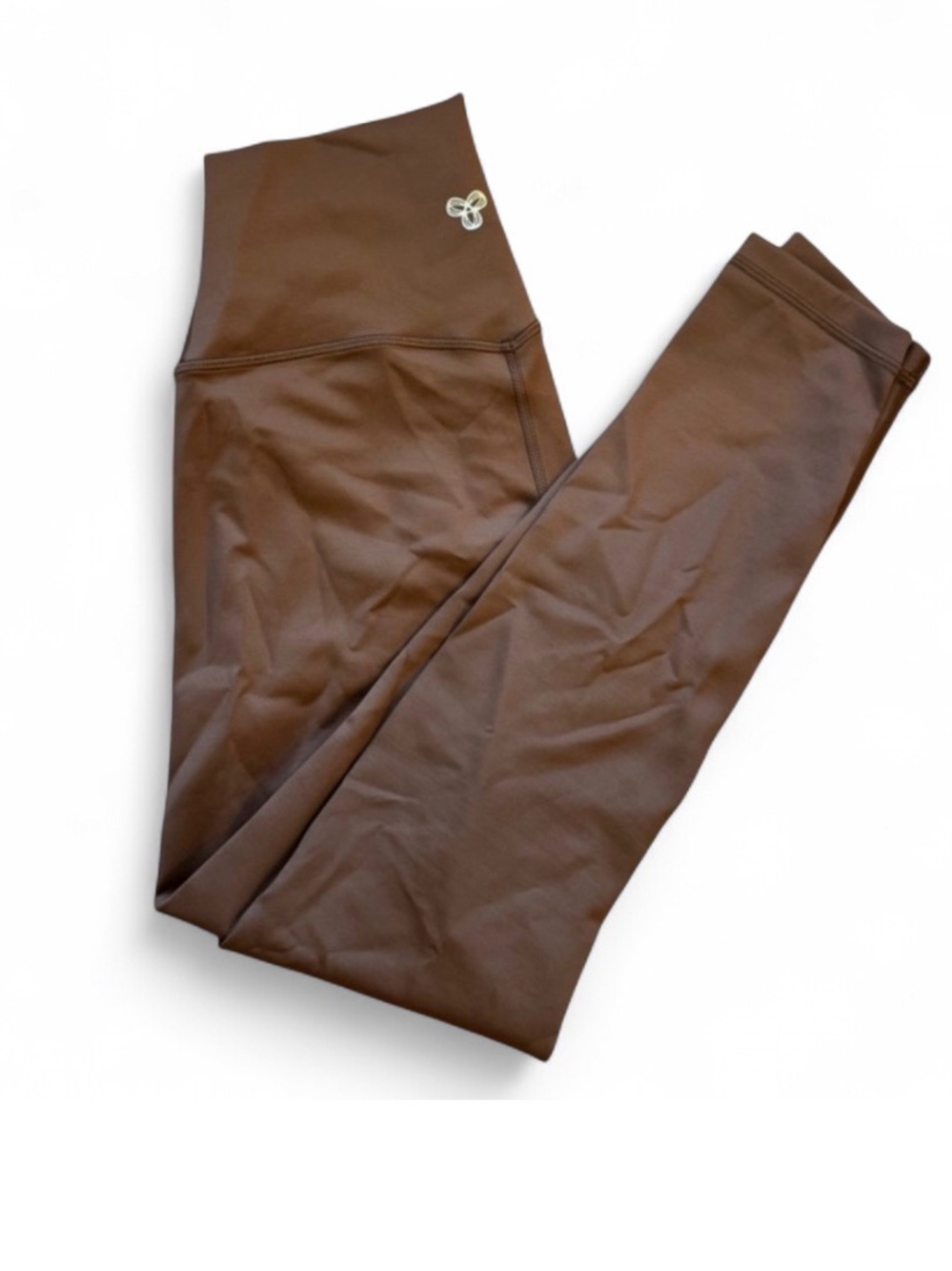 Aritzia Activewear Leggings